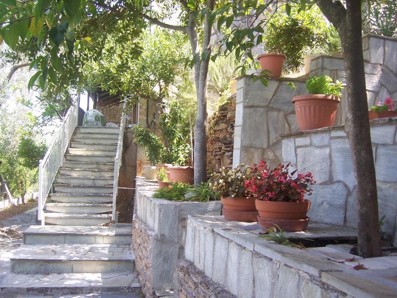 Milina Apartments * מילינה